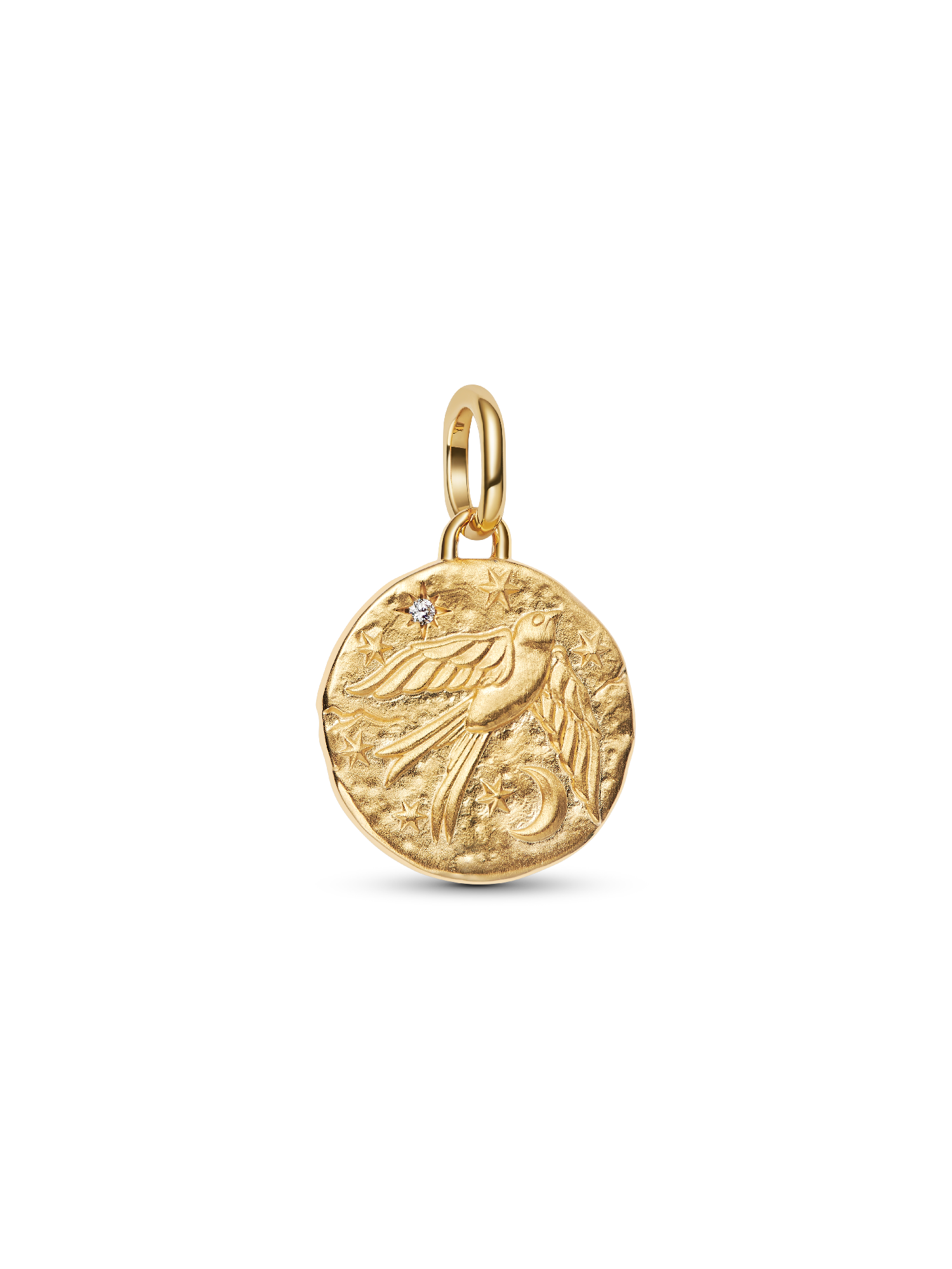 Swallow Medallion Charm | ゴールドプレーティング | パンドラ'