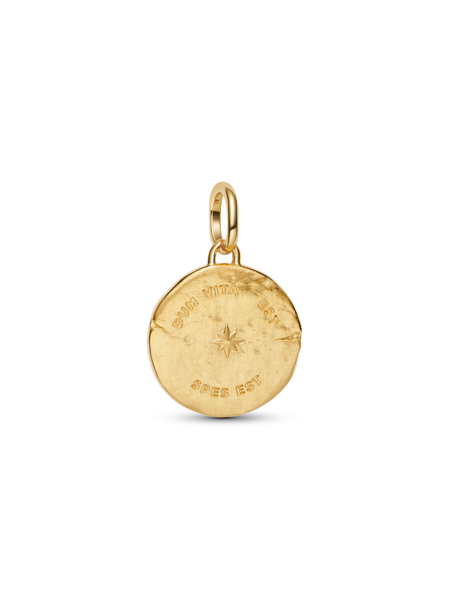 Swallow Medallion Charm | ゴールドプレーティング | パンドラ'