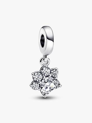 Sparkling Pet Paw Print Dangle Charm