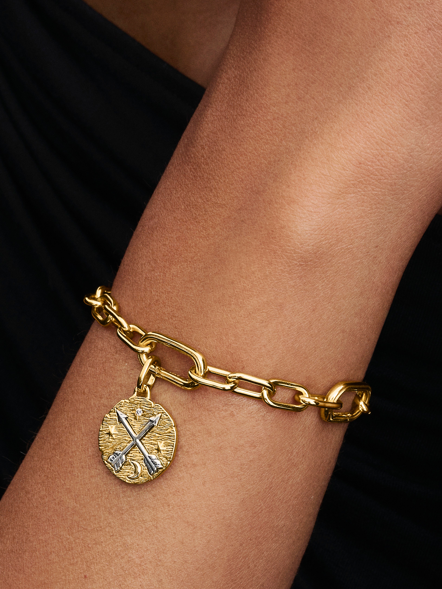 Crossing Arrows Medallion Charm | ツートーン | パンドラ'