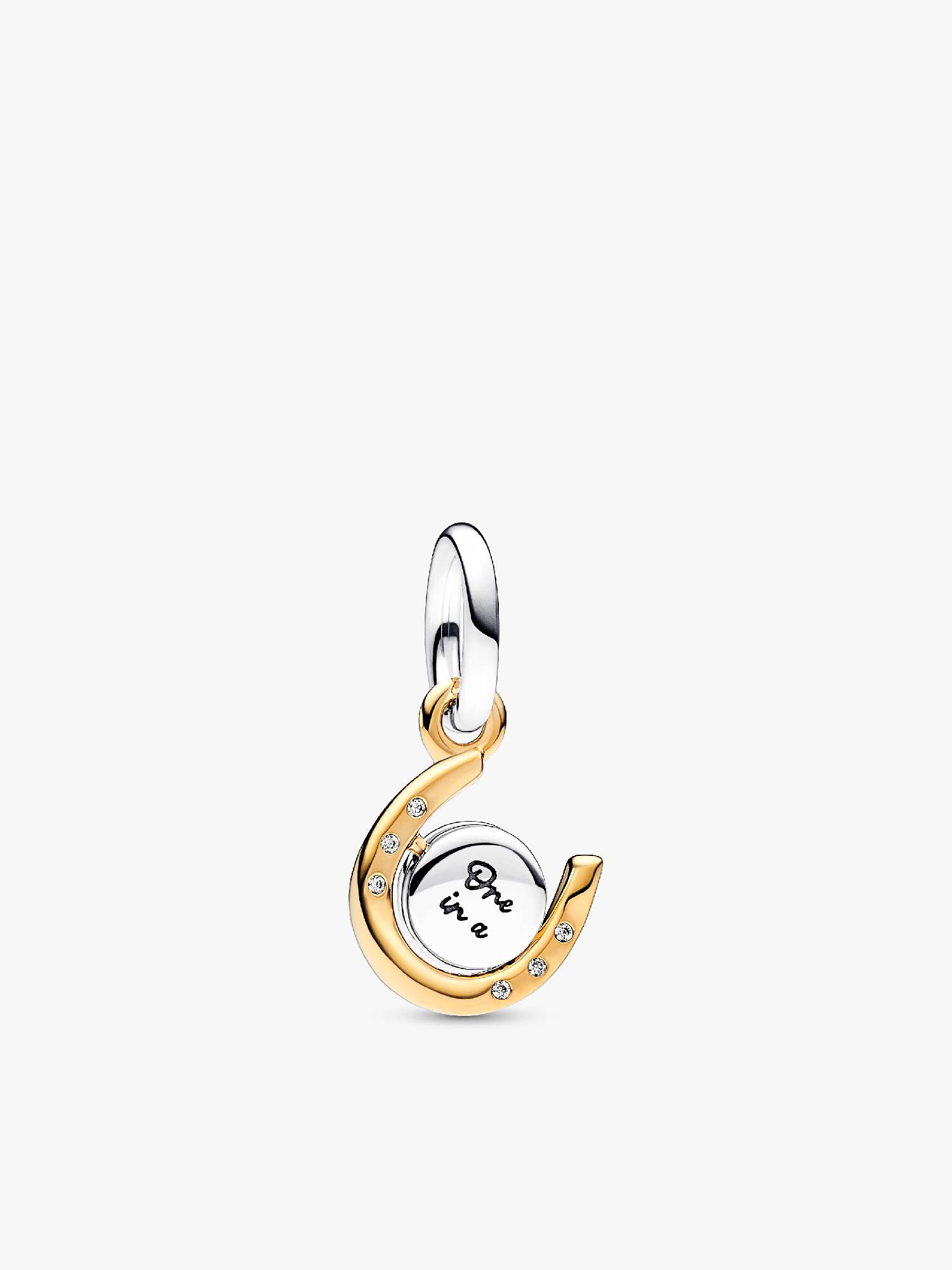 Two-tone Spinning Disc Horseshoe Dangle Charm