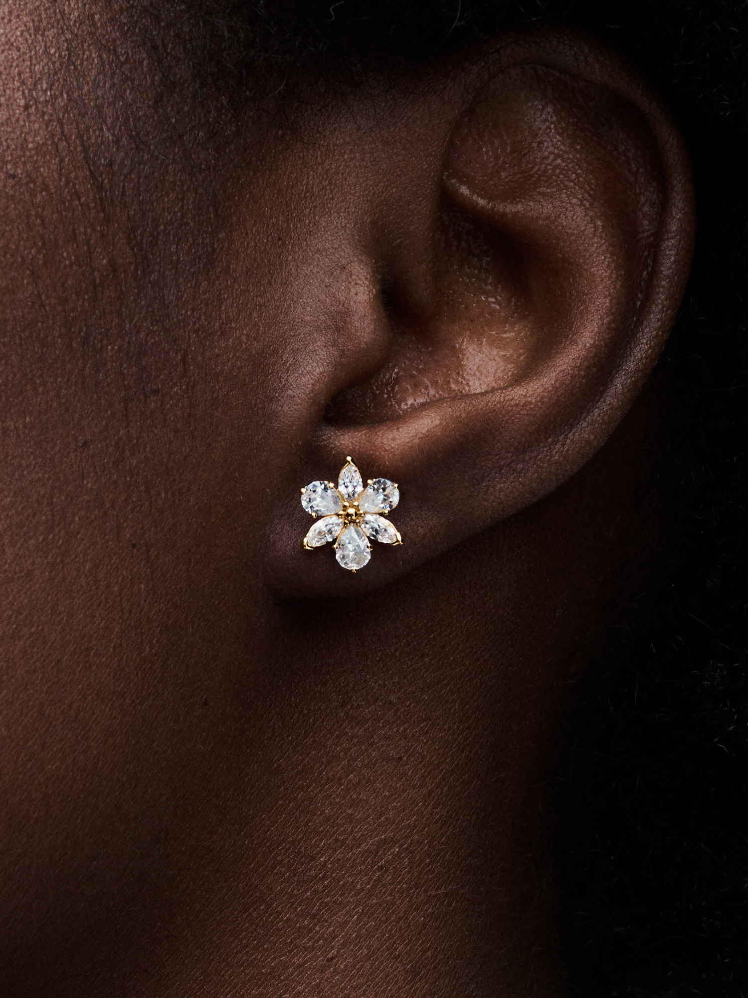 PANDORA フラワーモチーフ ピアス Sparkling Herbarium Cluster Stud Earrings | ゴールドプレーティング