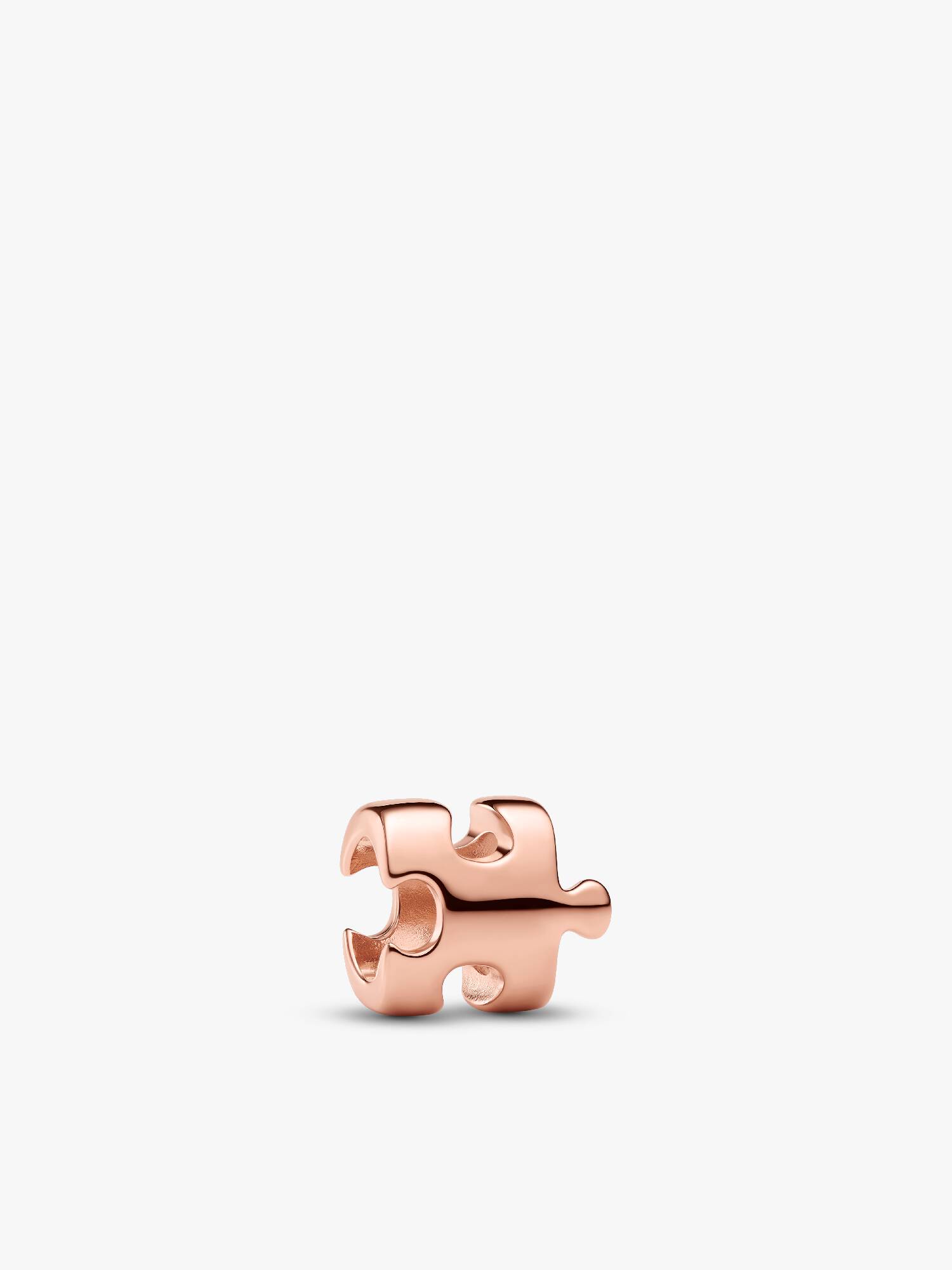Puzzle Piece Mini Charm