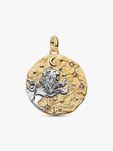 Leo Zodiac Oversized Medallion Charm