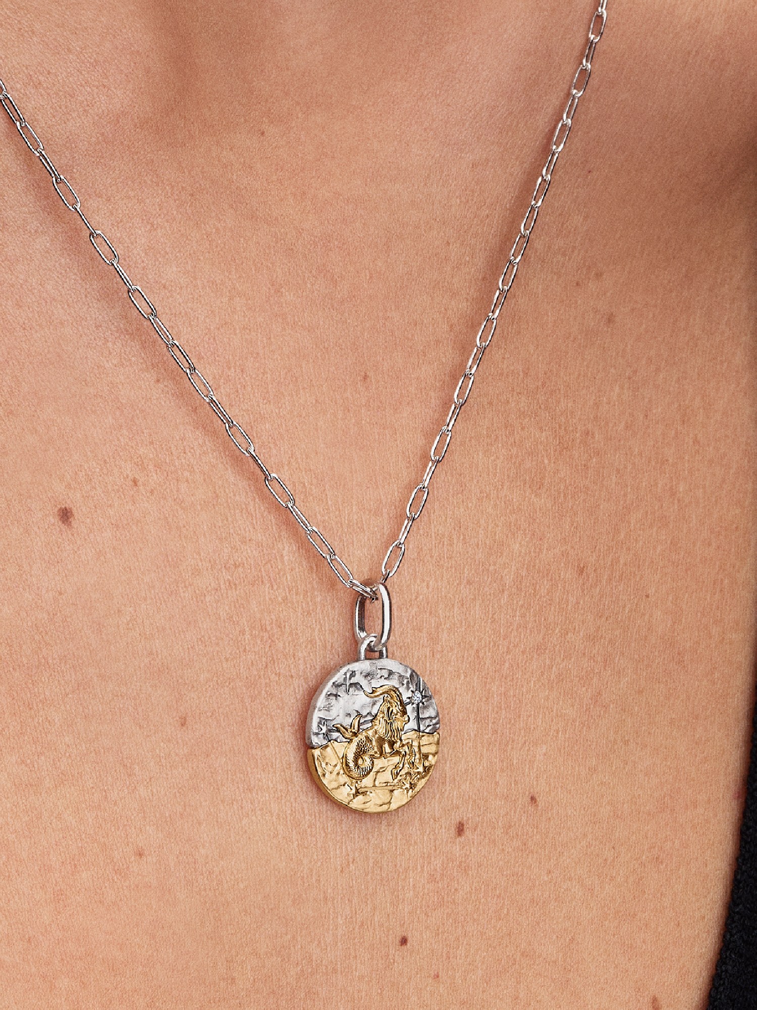 Capricorn Zodiac Medallion Charm | ツートーン | パンドラ'