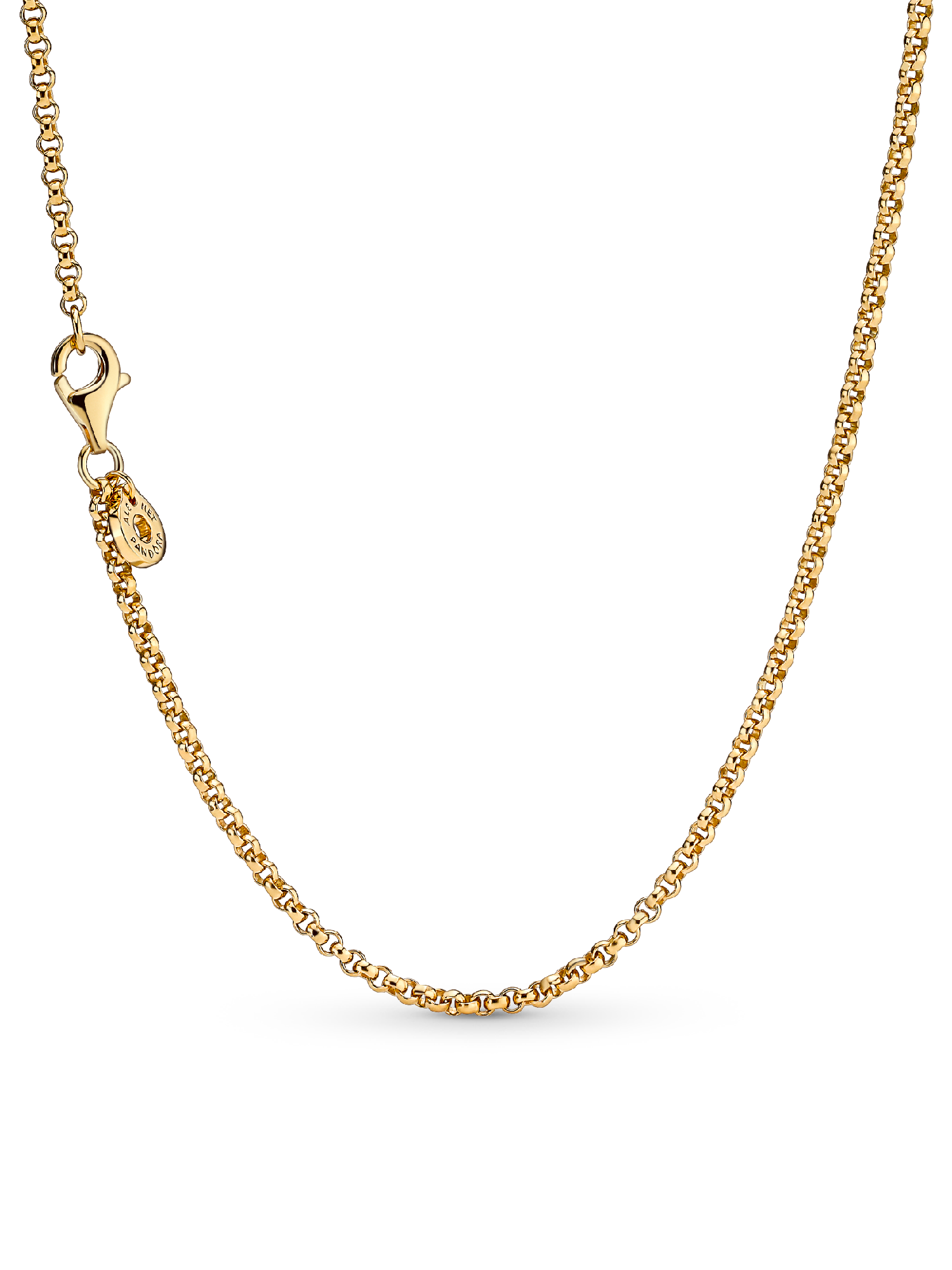 14k Gold-Plated Bee Charm and Necklace Set | ゴールドプレー