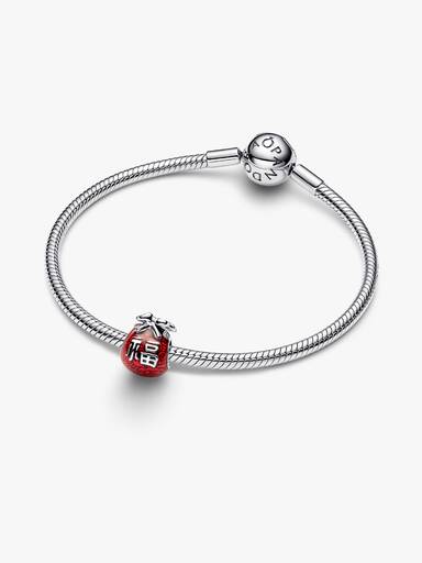 Lucky Bag Charm