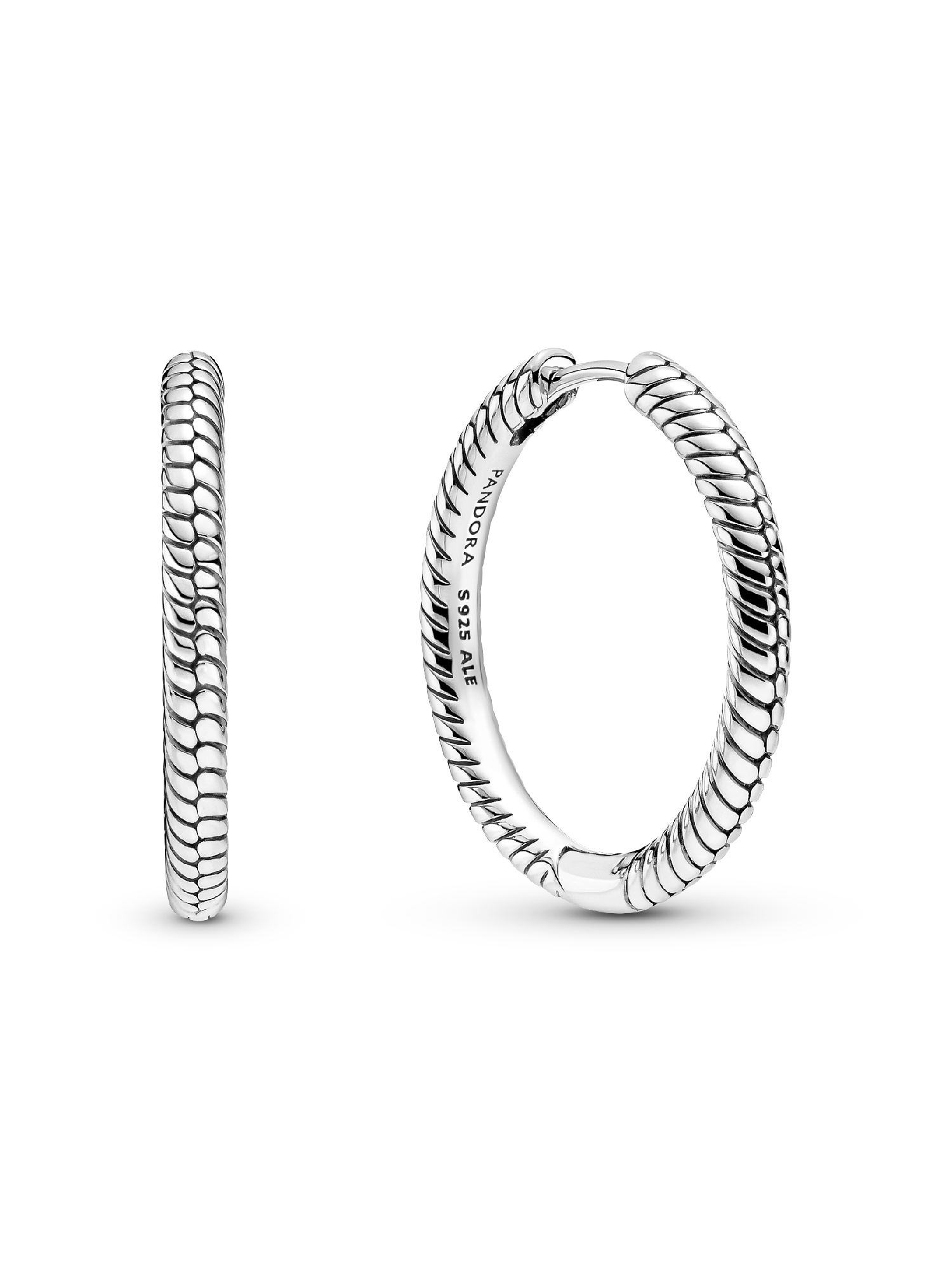 Pandora Moments Charm Hoop Earrings